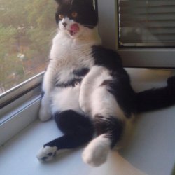 Евгений