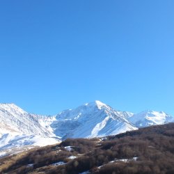 Алания 95
