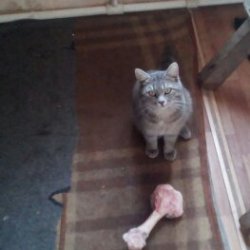 И